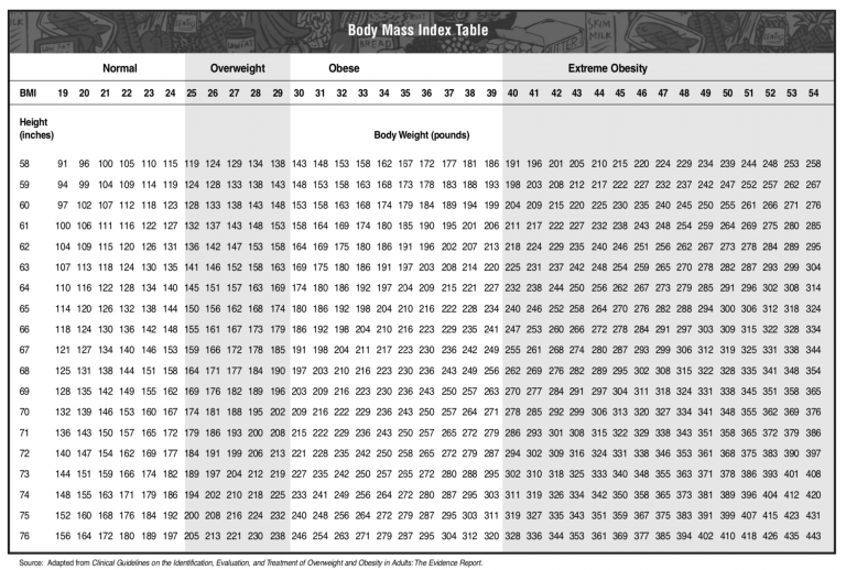 Body Composition - Trainerize.me