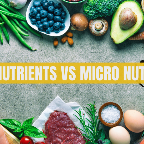 macro nutrients and micro nutrients