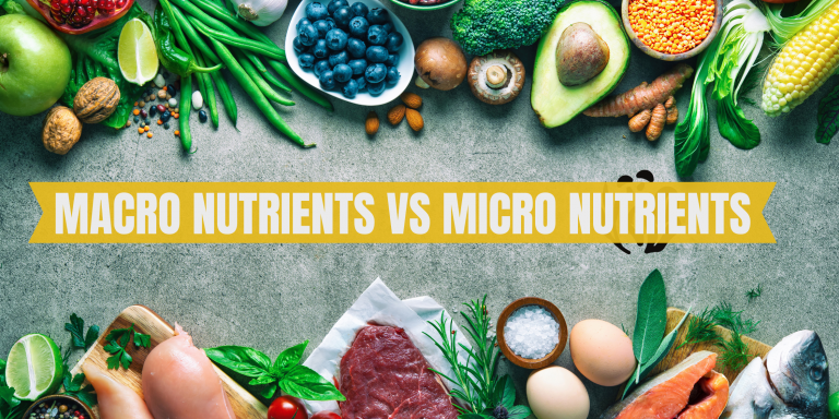 Macro Nutrients vs. Micro Nutrients: What Are They and How Do They ...