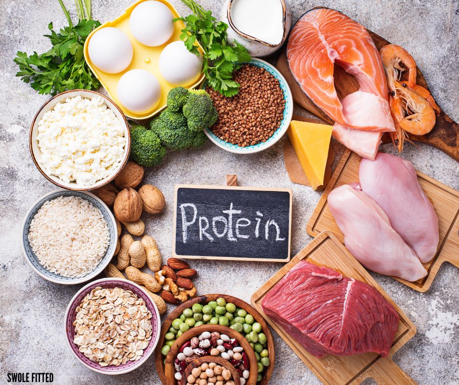 role of protein in fitness